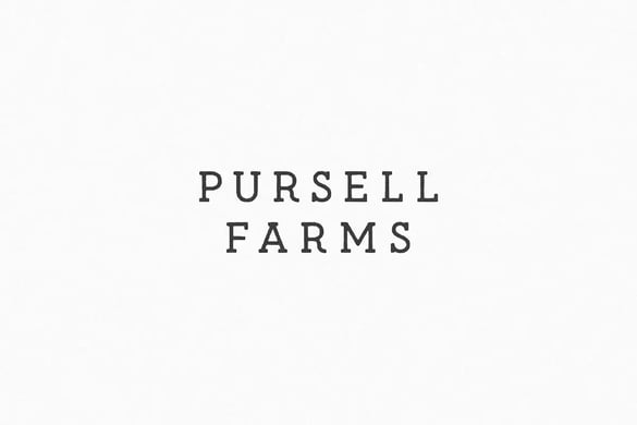 Pursell Farms Logo | Digitopia