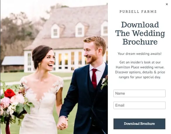 Pursell Farms Weddings | Digitopia
